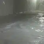 The Dangers of Ignoring a Wet Basement: Mold, Damage and More