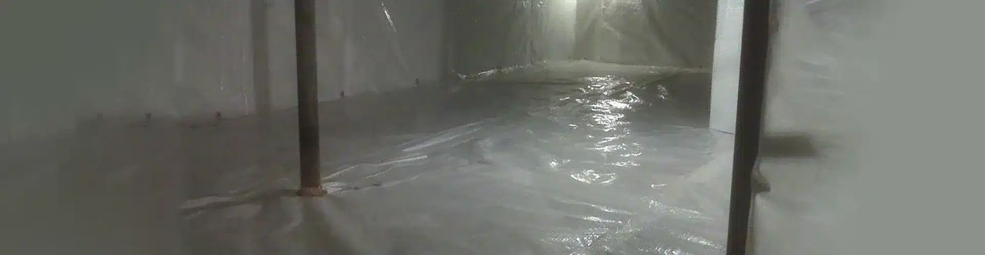 You are currently viewing The Dangers of Ignoring a Wet Basement: Mold, Damage and More