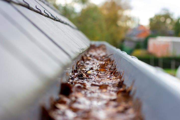 Read more about the article How Clogged Gutters Can Damage Your Foundation