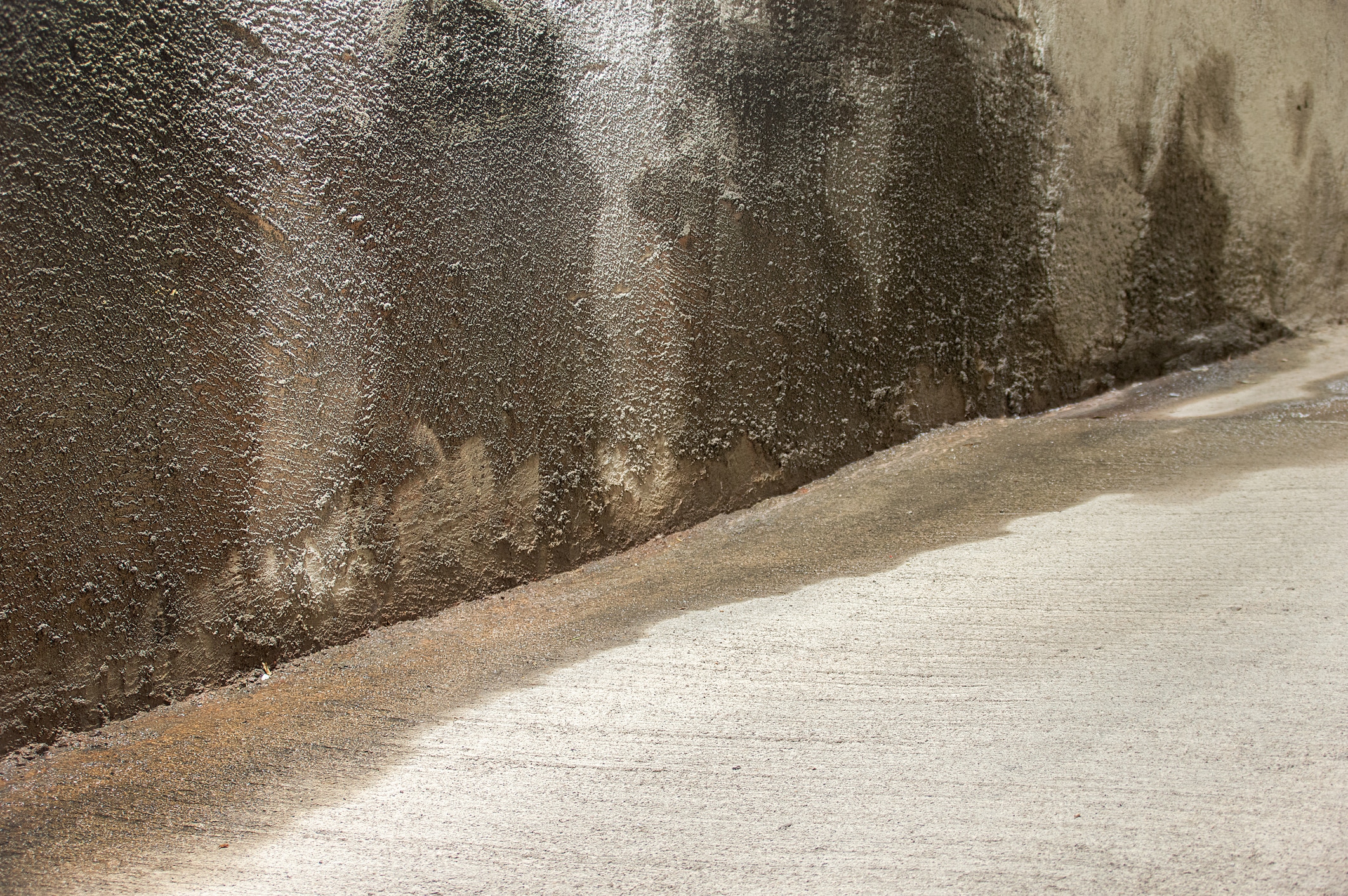 What Are the Most Common Causes of a Wet Basement? 1